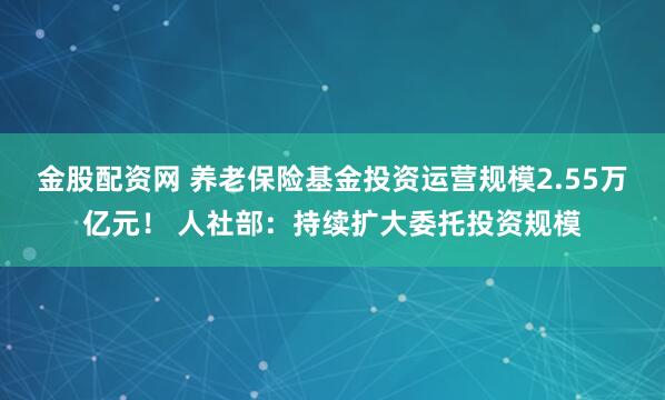 金股配资网 养老保险基金投资运营规模2.55万亿元! 人社部:持续扩大委托投资规模