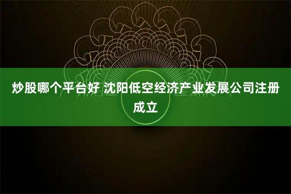 炒股哪个平台好 沈阳低空经济产业发展公司注册成立