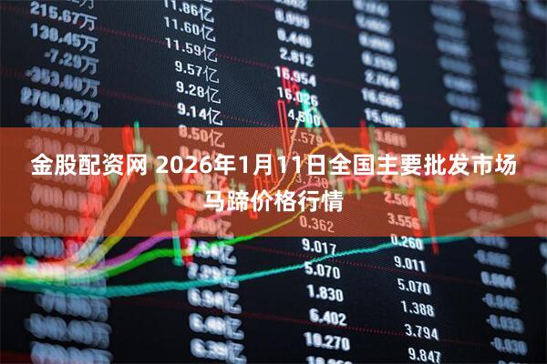 金股配资网 2026年1月11日全国主要批发市场马蹄价格行情