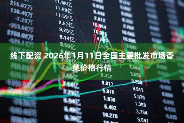 线下配资 2026年1月11日全国主要批发市场香菜价格行情